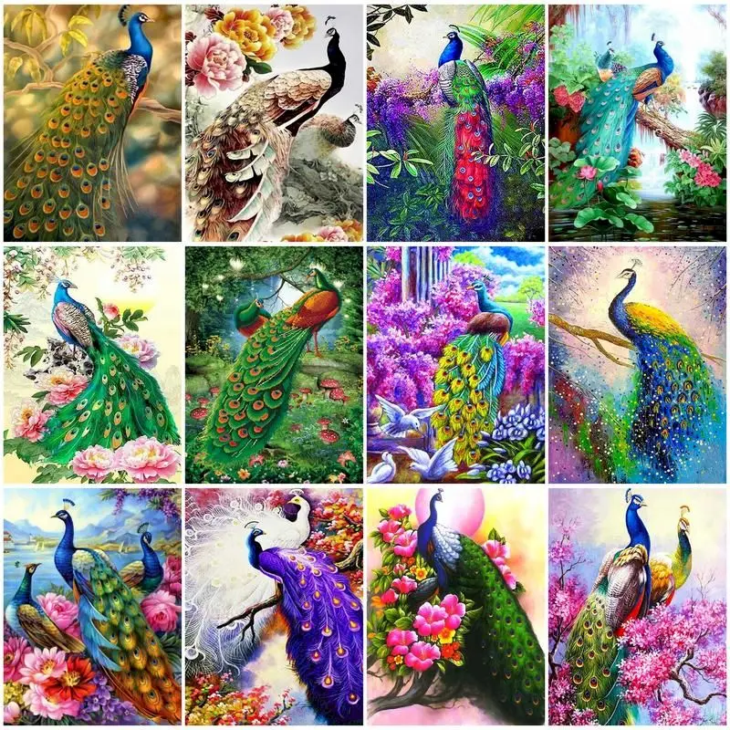 

Oil Painting By Number On Canvas With Frame Peacock Animals Pictures For Drawing Paint Kits For Adults Coloring By Number Decor