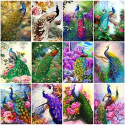 Oil Painting By Number On Canvas With Frame Peacock Animals Pictures For Drawing Paint Kits For Adults Coloring By Number Decor