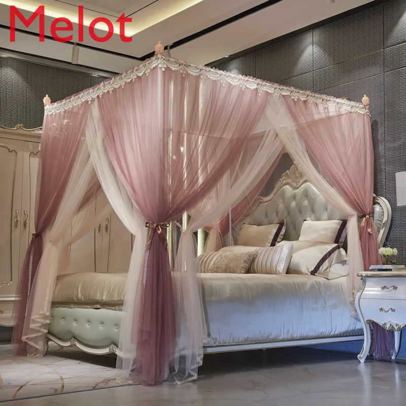 High-End Simple Fashion Princess-Style Double-Layer Gauze Mosquito Net Modern Household Luxury Floor-Standing Bed Curtain