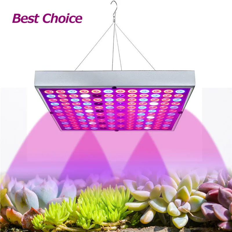 New Professional LED Plant Lamp 45W Flower Fleshy Plant Lamp Full Spectrum Greenhouse Indoor Plant Growth Lamp Seedling Lamp