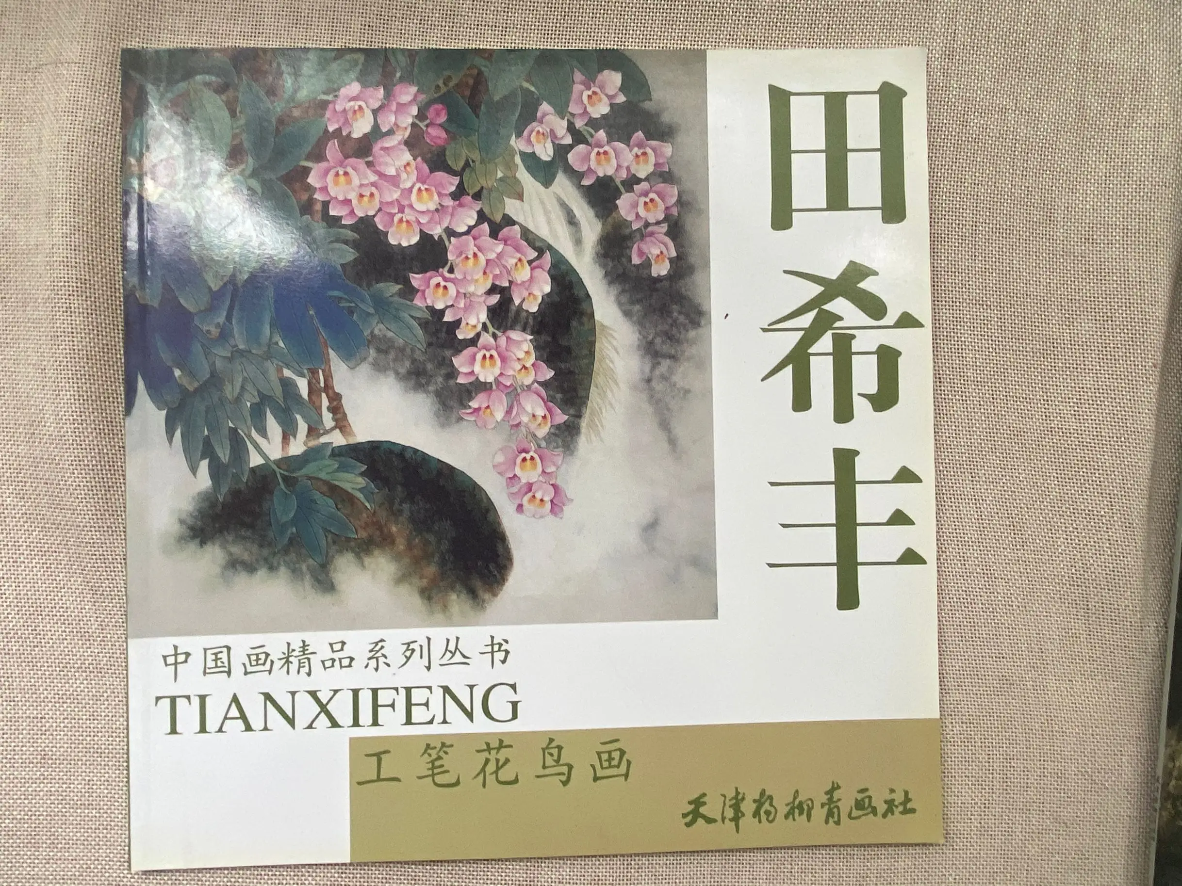 

Chinese Painting Tian Xifeng GongBi Sumi-e Flowers And Birds Tattoo Reference Book
