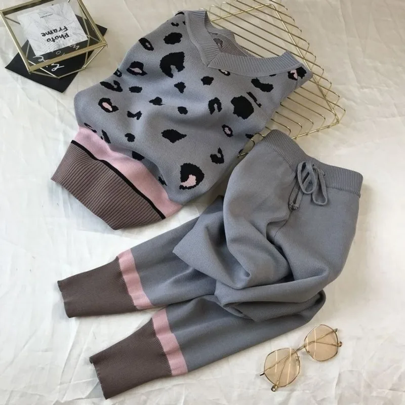 Ladies Two-piece Set 2020 Autumn and Winter New Product V-neck Leopard Print Loose Sweater + Small Feet Elastic Pants Suit