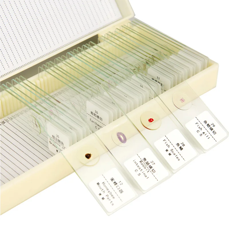 35 pz/set microscopio vetrini in vetro campione animale vetrino campione preparato biologico campione di copertura Slipswith scatola di plastica