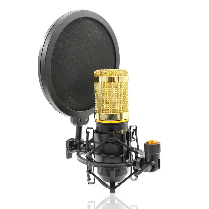 43-50 مللي متر ميكروفون صدمة جبل مزدوجة شبكة البوب تصفية و المسمار محول قابل للتعديل مكافحة الاهتزاز العزلة المعادن Mic جبل حامل