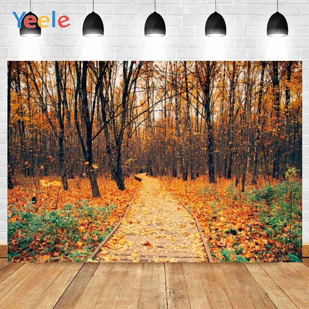 Yeele-خلفيات مشهد الخريف للتصوير الفوتوغرافي ، أوراق الغابات ، استوديو الصور Hotographic ، خلفية الصورة ، ديكورات أعياد الميلاد ، الدعامة