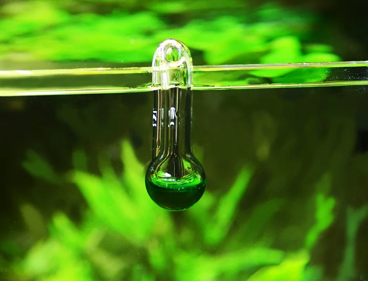 VIV Glass Hang On Kit de test - Glass Co2 Drop Checker avis et prix
