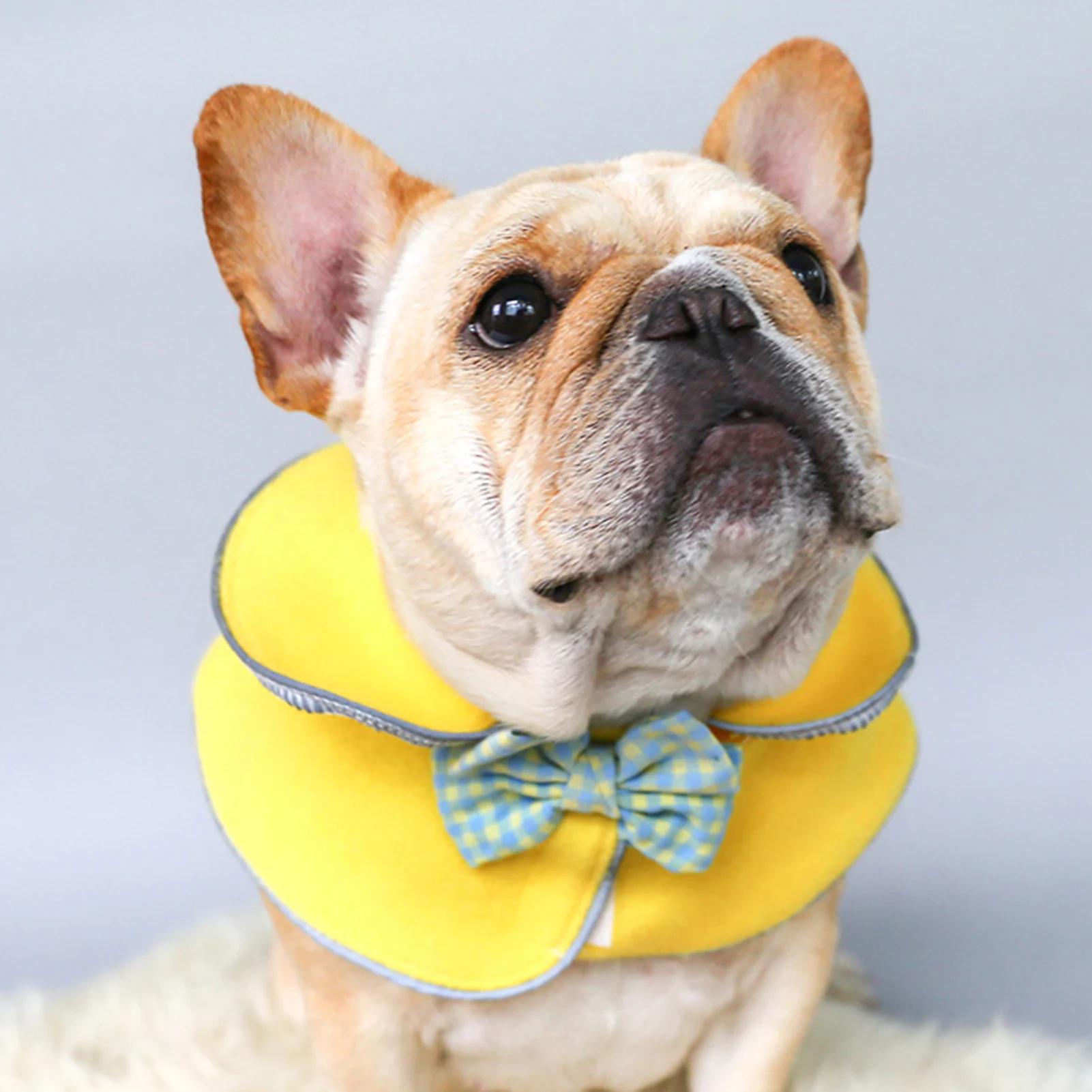 Baberos para gatos y perros, cuello de bufanda, decoración para cachorros, chal para guardería, lazo para estudiantes, capa de estilo princesa, suministros para mascotas