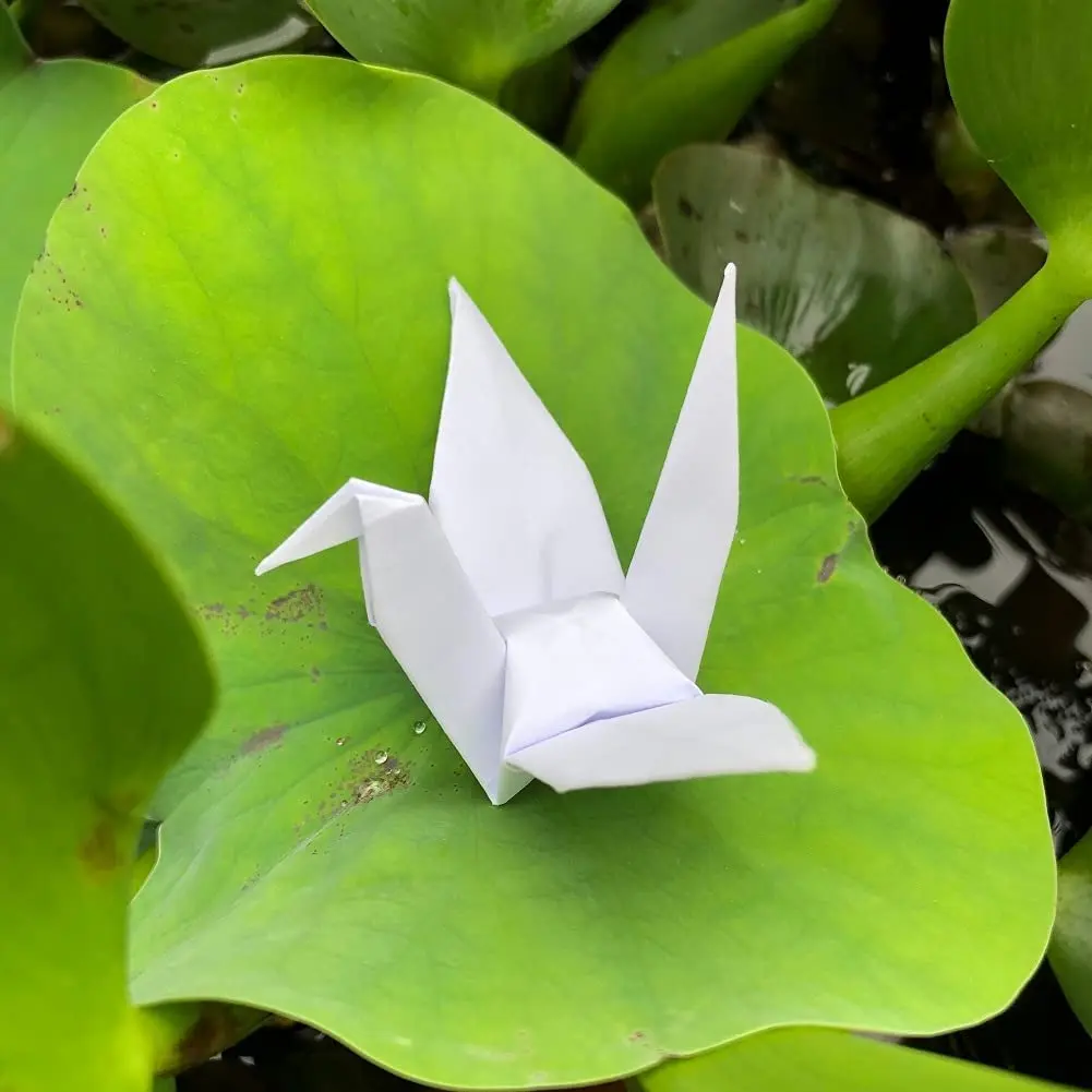 200Pcs 10Strings Premade Thousand Origami Paper Crane on String White Dove Garlands For Wedding Valentine\'s Day Party Decoration