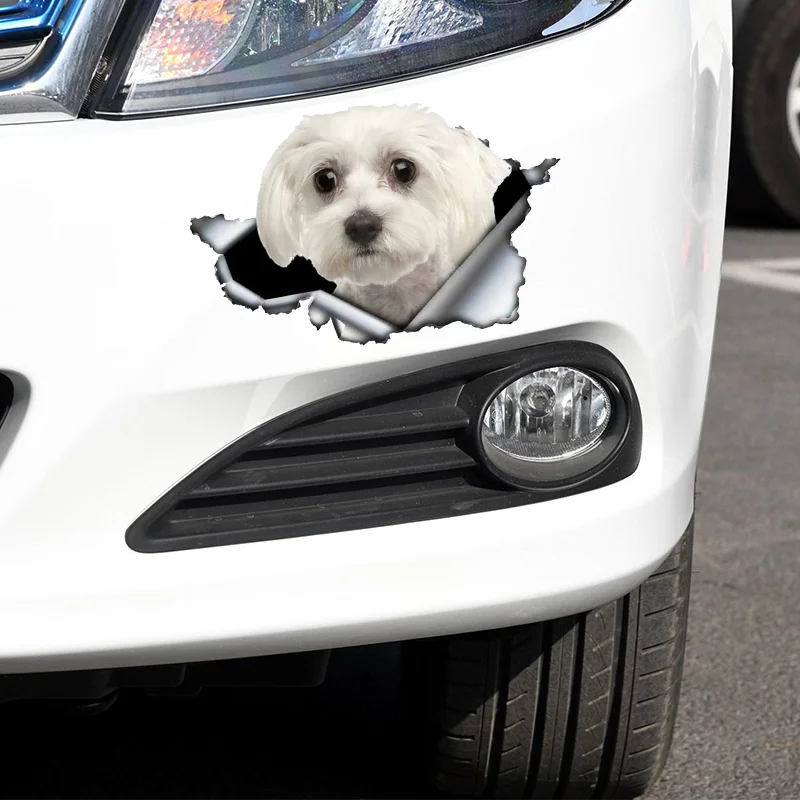 A0110# 13 cm/17 cm 3D Self-Adhesive Decal Cute Maltese Dog Car Sticker Waterproof Auto Decors on Bumper Rear Window Laptop