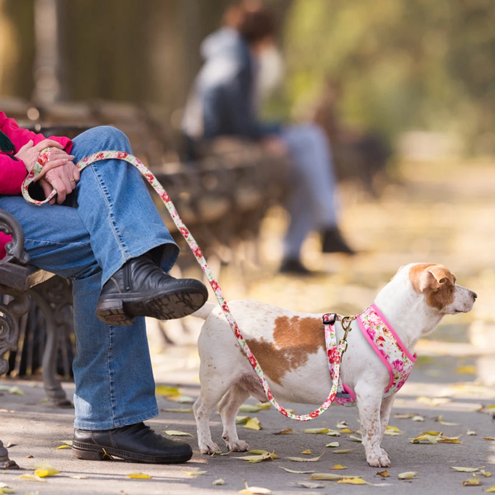 Arnés con estampado bonito para perro y gato, conjunto de correa de malla suave, ajustable, para caminar, pequeños y medianos para perros, gatos y