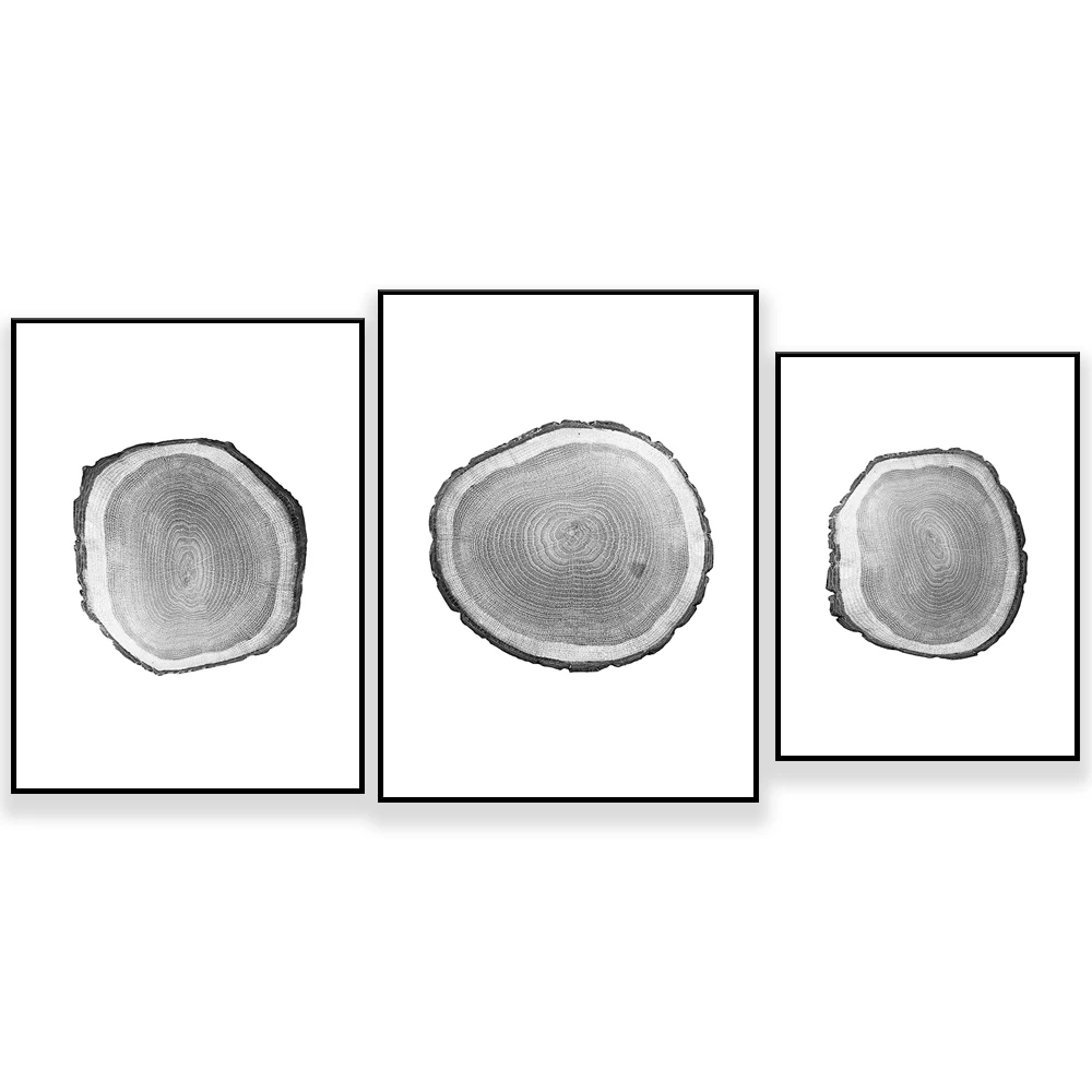 Tree ring print  wall art black and white stump printable instant wood slice Modern farmhouse pine log gallery wall