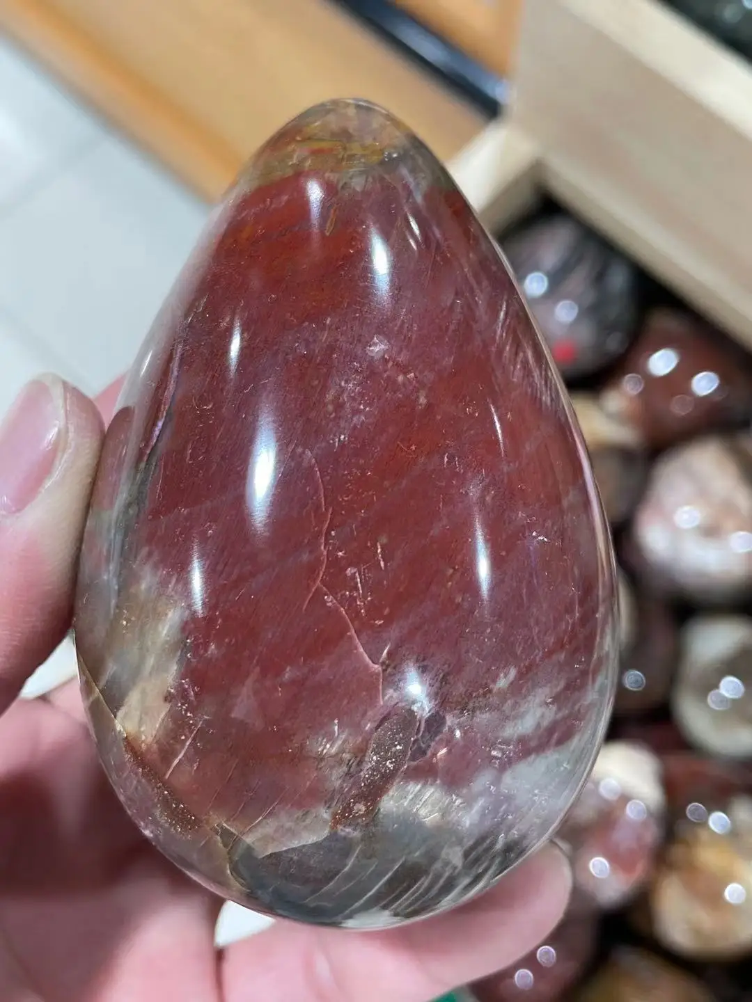 Beautiful Petrified Wood Fossil Crystal EGG form Madagascar