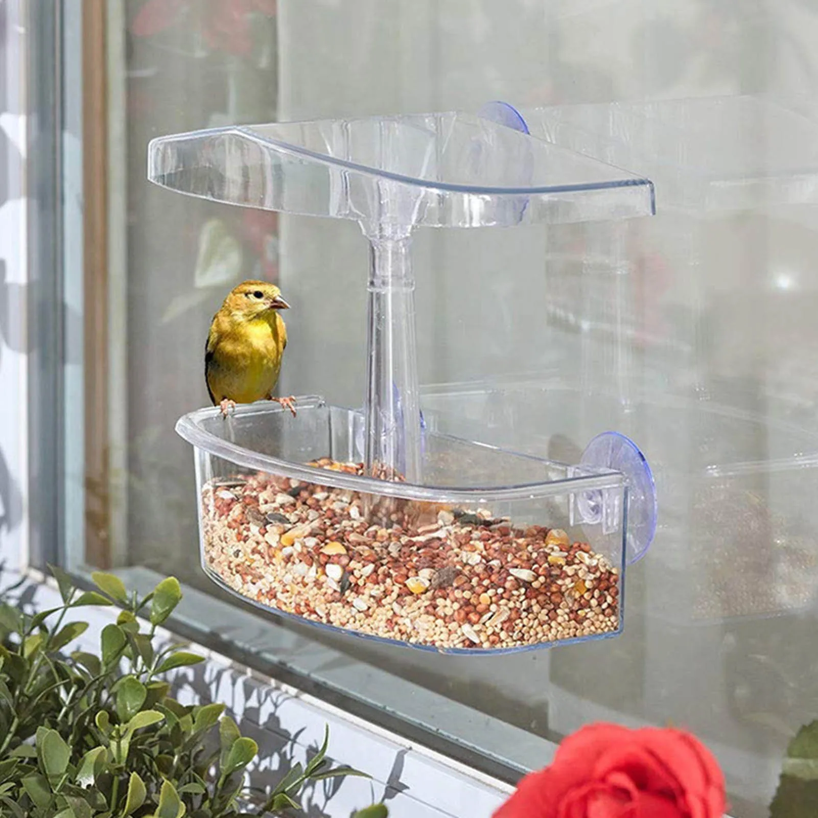 Bird Feeder Transparent Window Viewing Bird Feeders Tray Birdhouse Pet Water Feeder Suction Cup Mount House Type Bird Feeder