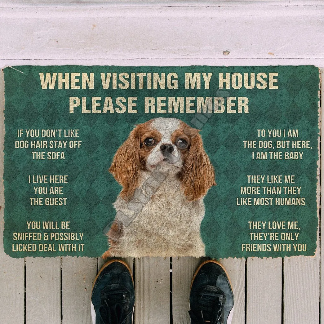 3D Please Remember Cavalier King Charles Spaniel Dogs House Doormat Indoor Doormat Non Slip Door Floor Mats Decor Porch Doormat