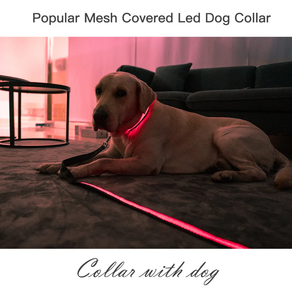 Dog Nylon Collar USB Flashing Charging LED Light Reflective Anti-Lost Rechargeable Glow Dog for Small Medium Large Dogs Supplies