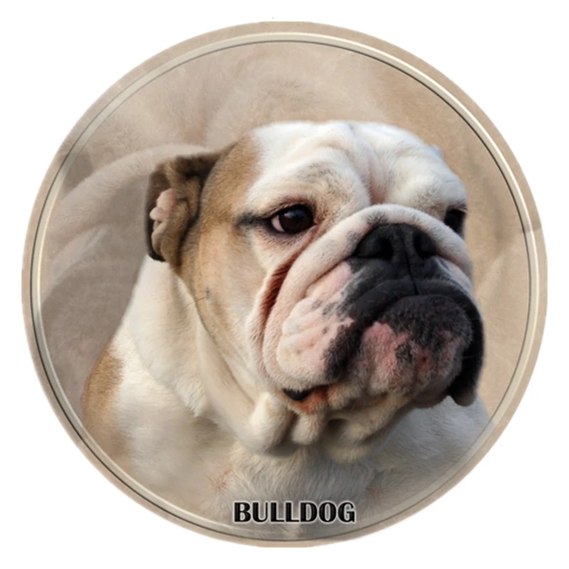 S40329# 13CM PVC Decal English Bulldog Car Sticker Waterproof For Bumper Rear Window Laptop Refrigerator Toilet