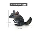 Chinchillas Pequeñas
