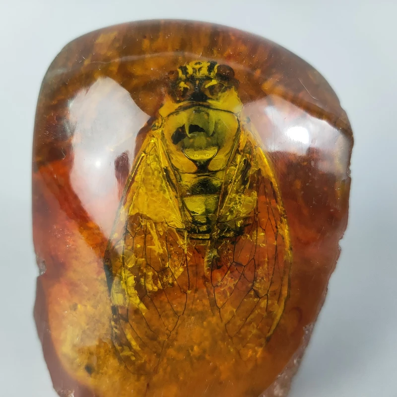 Elaborate Interesting Rare Chinese Collection Home Decoration Gift Amber Resin Cicada Statue Craft