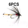 6PCS