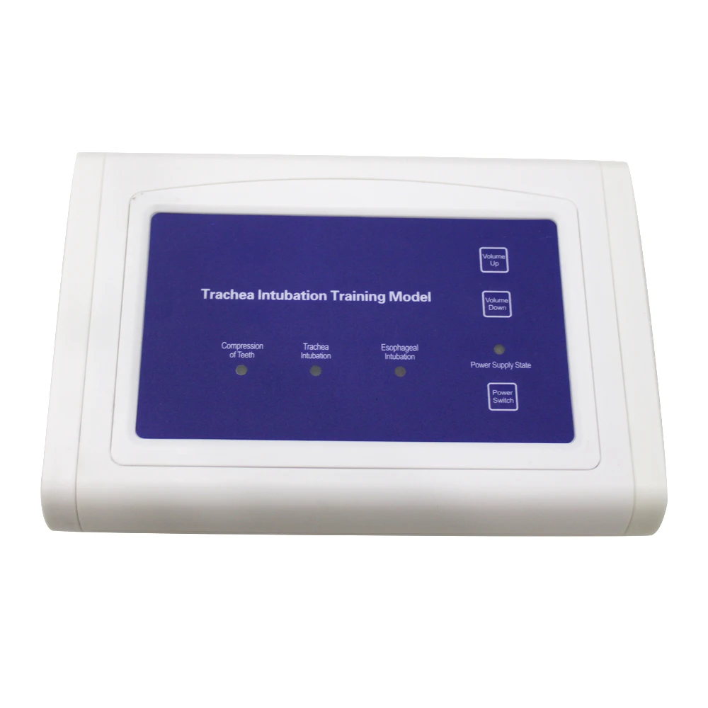 Intubazione manichino studio modello didattico gestione delle vie aeree allenatore PVC con denti