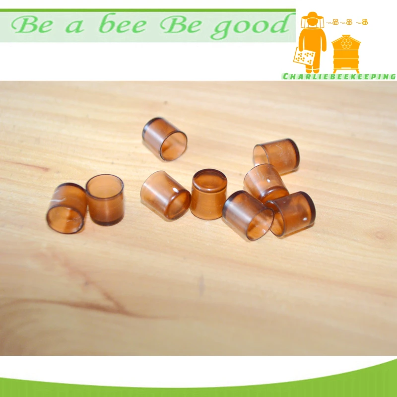1000 Pieces Nicot Queen Cell Cups, Brown Color Queen Cell Cups for Queen Breeding, Beekeeping Queen Rearing Cups