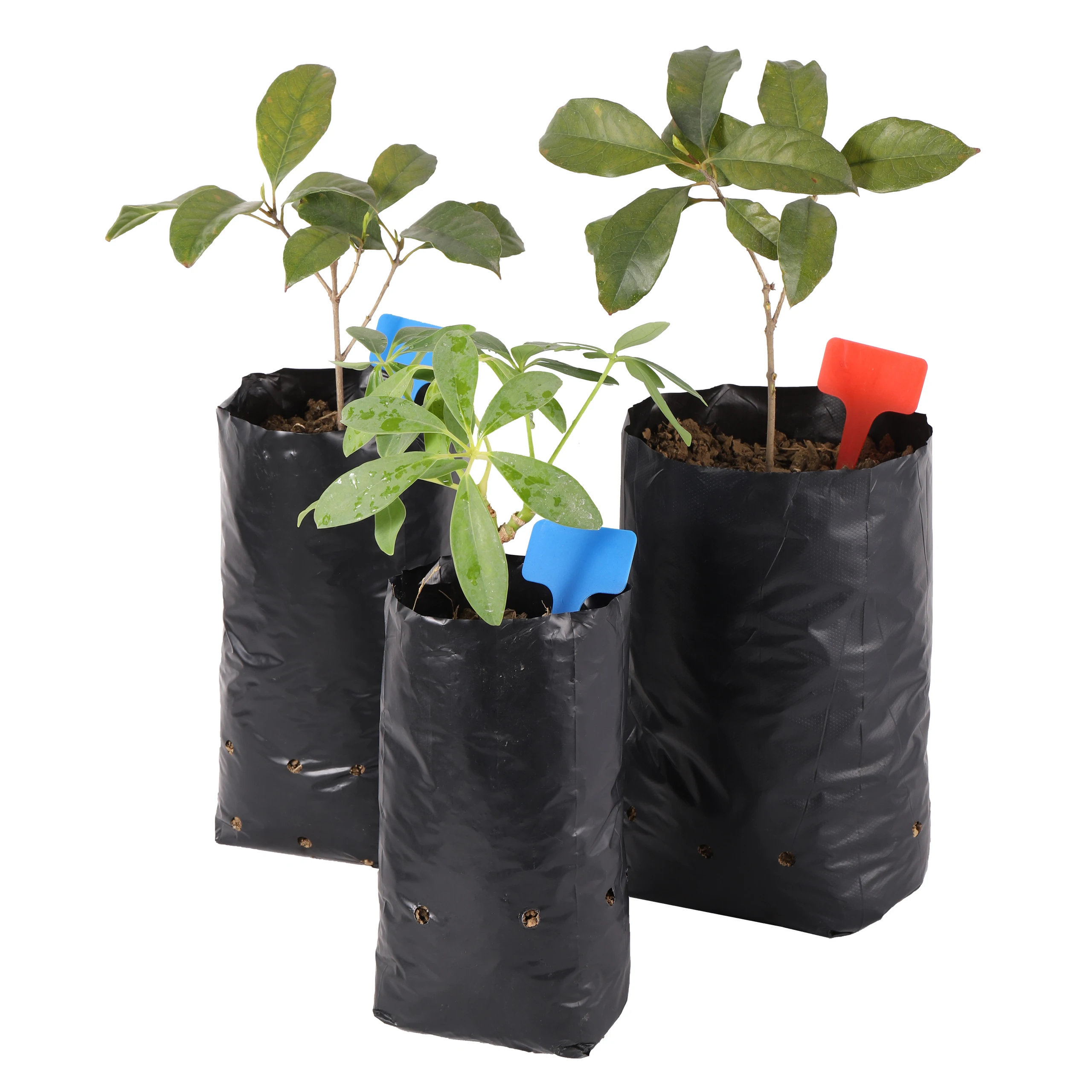 Black PE Plastic Seedling Planting Bags Nursery Breathable Pot plant growth kit Nutrition Grow Bag Garden Vegetable Container