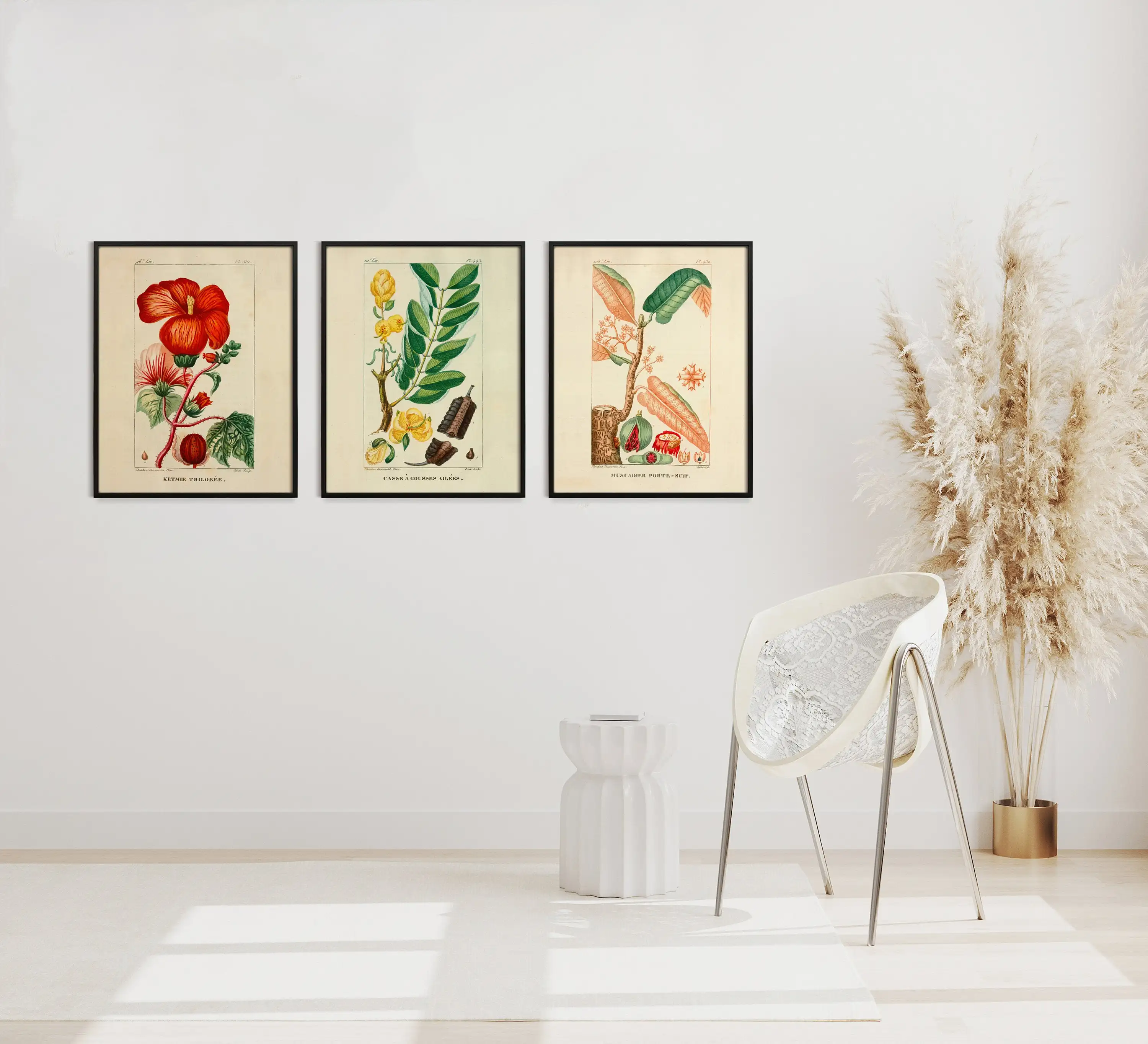 Vintage French Botanical Garden Print Set, Jean Theodore Descourtilz Fresco, Three Giclée Prints French Illustration Collection