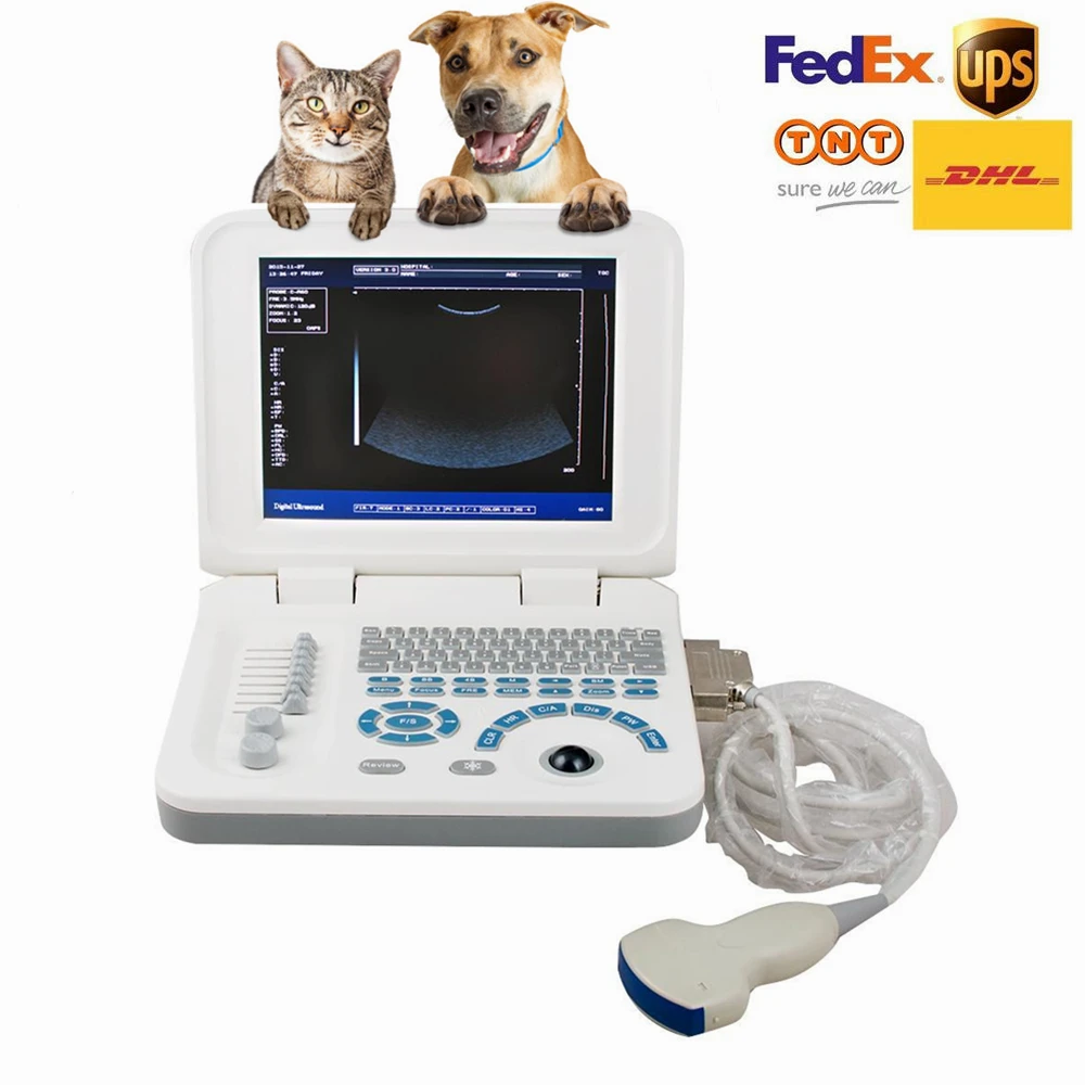 10 in LED screen animal-notebook-ultrasound free shipping