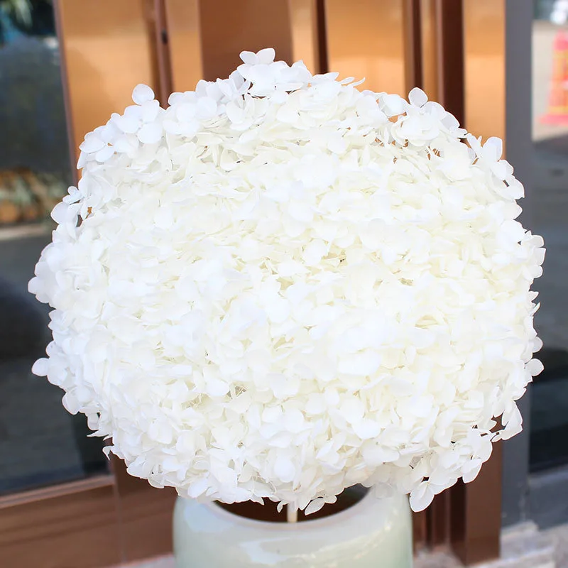 15-20CM Head Preserved Fresh Hydrangea Eternal Dried Flowers Real Nature Plants Wedding Home Decor Natale Decorazioni