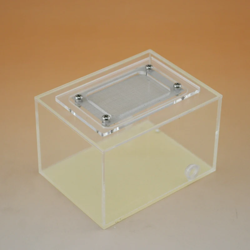 Ant castle Pet supplies small acrylic reptile box feeding box insect box insect box breeding box ant nest