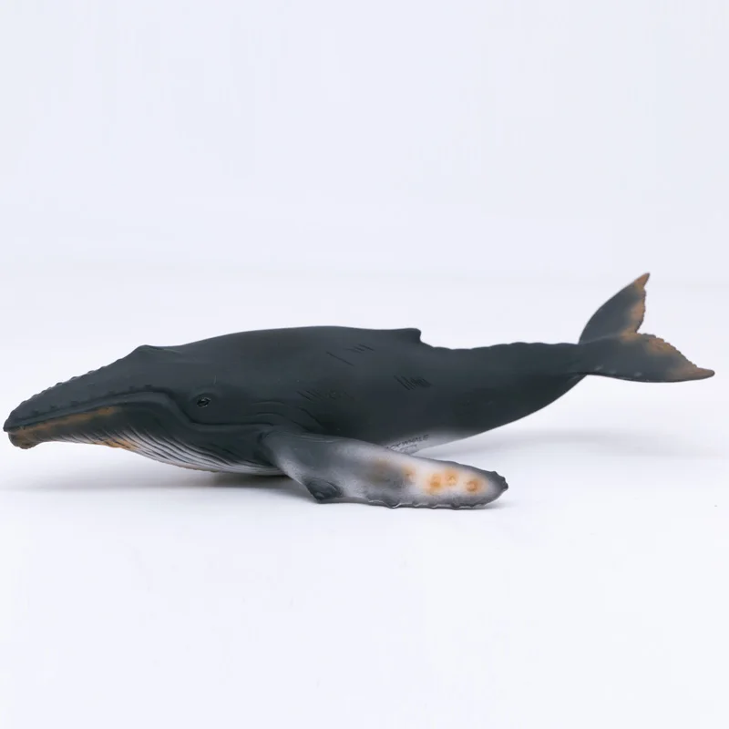 CollectA Wild Life Animals Ocean Humpback Whale PVC Figure Plastic Toy Model #88347