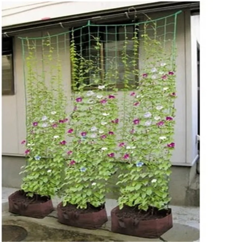 

Gardening net plant support and protective equipment Support Flower, Melon and fruit climbing rattan net Horticulture net