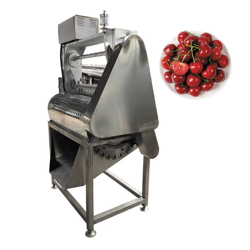 Electric Apricot Cherry Pitter Destoner Machine  Automatic Calcium Fruit Pitting Machine Cherry Destone Machine