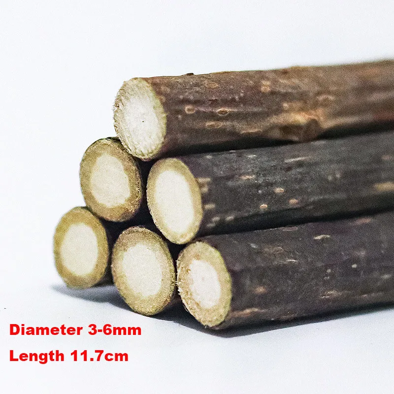 Wholesale Natural Catnip Pet Cat Molar Toothpaste Stick Matatabi Actinidia Fruit Silvervine Cat Snacks Sticks Pet Cleaning Teeth