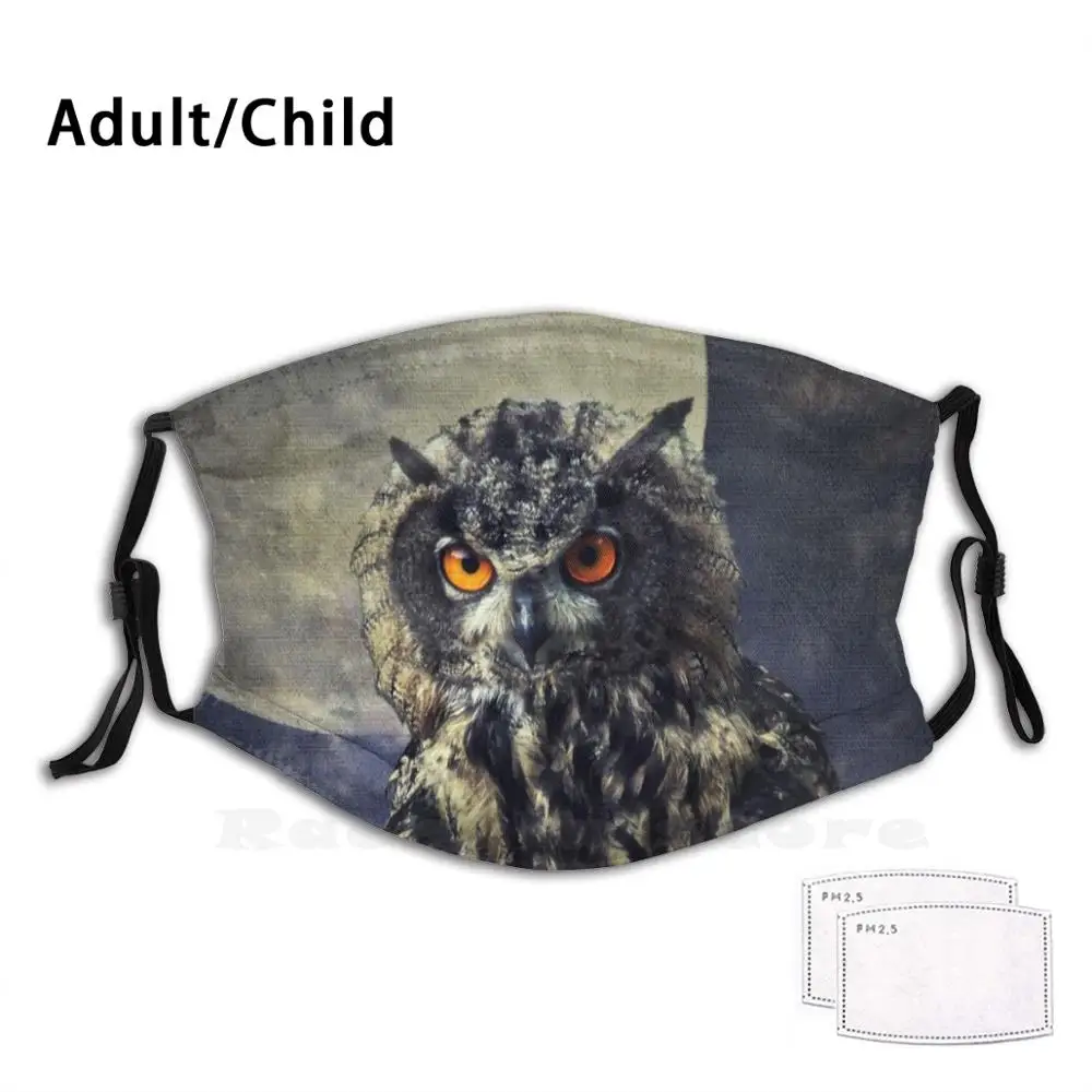 Masque buccal lavable imprimé hibou et aigle, filtre Anti-poussière, nuit mystérieuse, ciel, lune, lune, nuit mystique, oiseau, Nature