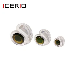 ICERIO 50PCS Clear Fluoro Epoxy Fish Mask Streamer Saltwater Flies Fly Tying Material Included 3D Fisheyes