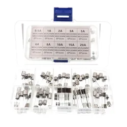 60pcs 6x30mm Fast-blow Glass Fuses Quick Blow Car Glass Tube Fuses Assorted Kit Amp And 5*20mm Glass Tube Fuses