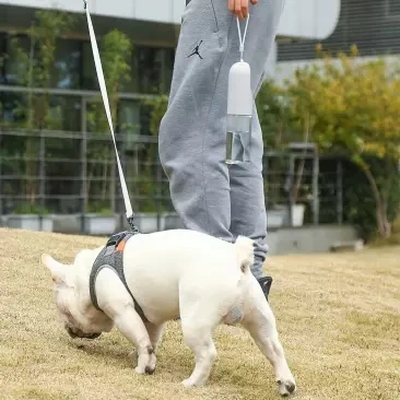 Xiaomi-Youpin Transparente Portátil Pet Water Cup, Outdoor Cat and Dog Water Dispenser, Acompanhando Cup