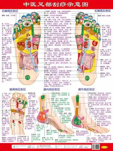 Face, Back, Foot Scraping Diagram (3 Pictures In Total) TCM Health Care Point Meridian Wall Chart Chinese Edition