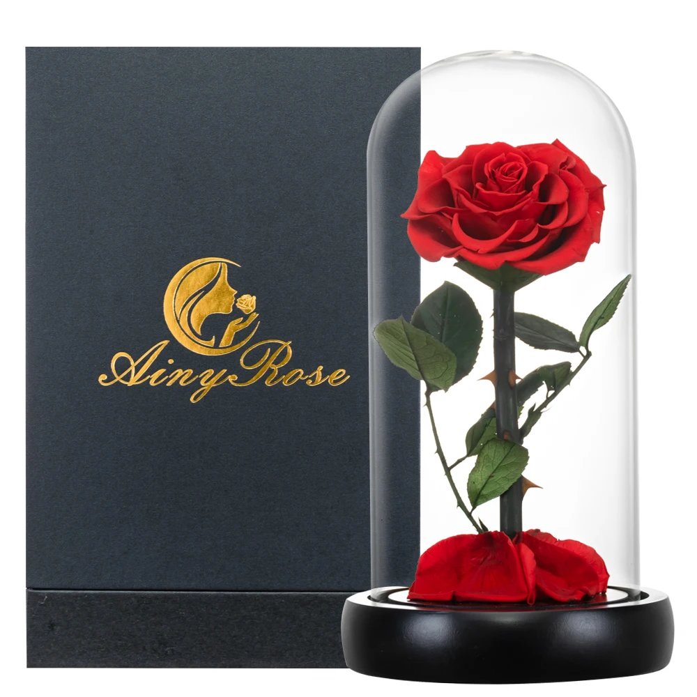 Beauty and The Beast Preserved Flowers Red Eternal Rose In Glass Dome Gifts for Wedding Birthday Valentine Christmas Anniversary
