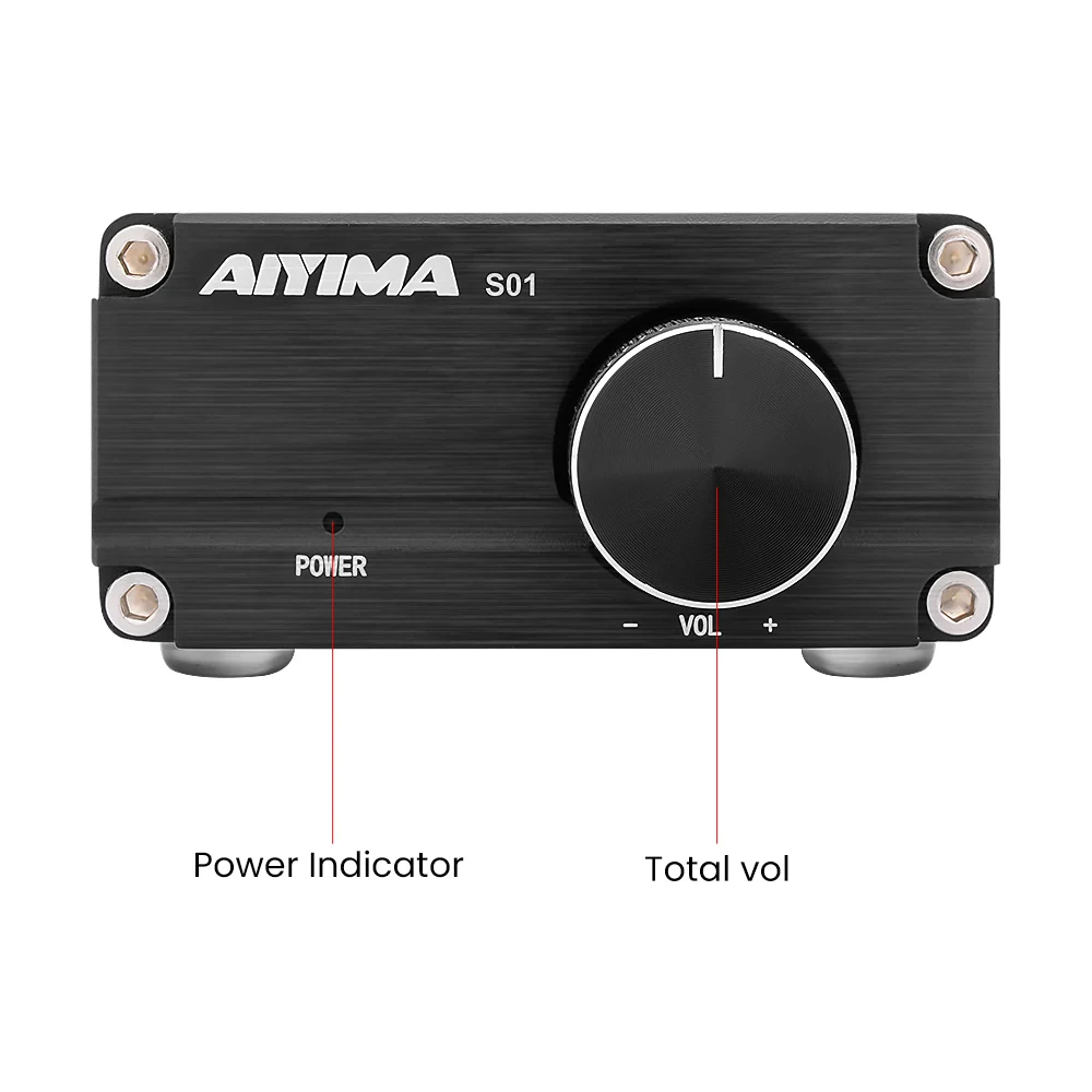 AIYIMA 100W TPA3116 Subwoofer Power Amplifier Audio Board Home Theater TPA3116D2 Mono Digital Sound Amplifiers NE5532 OP AMP