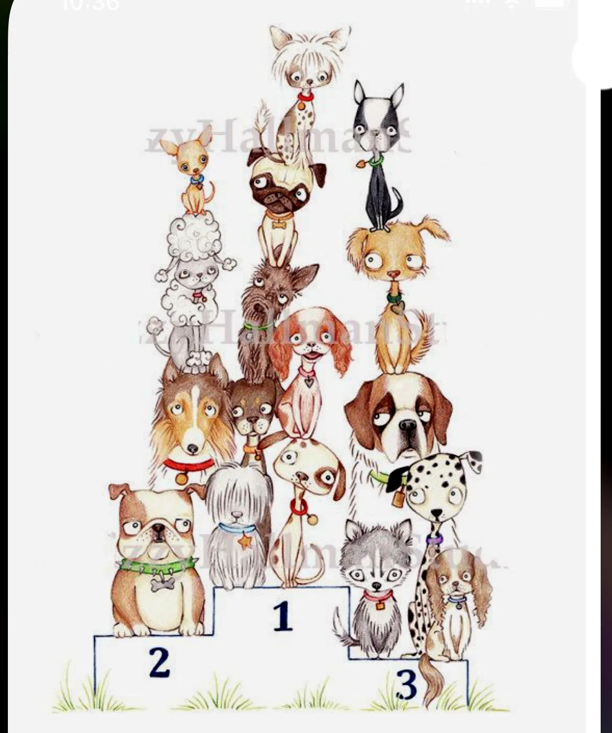 Dog Champion Award Transparent Silicone Rubber Stamp And Die Sheet Cling Scrapbooking DIY Cute Pattern Photo AlbumLace