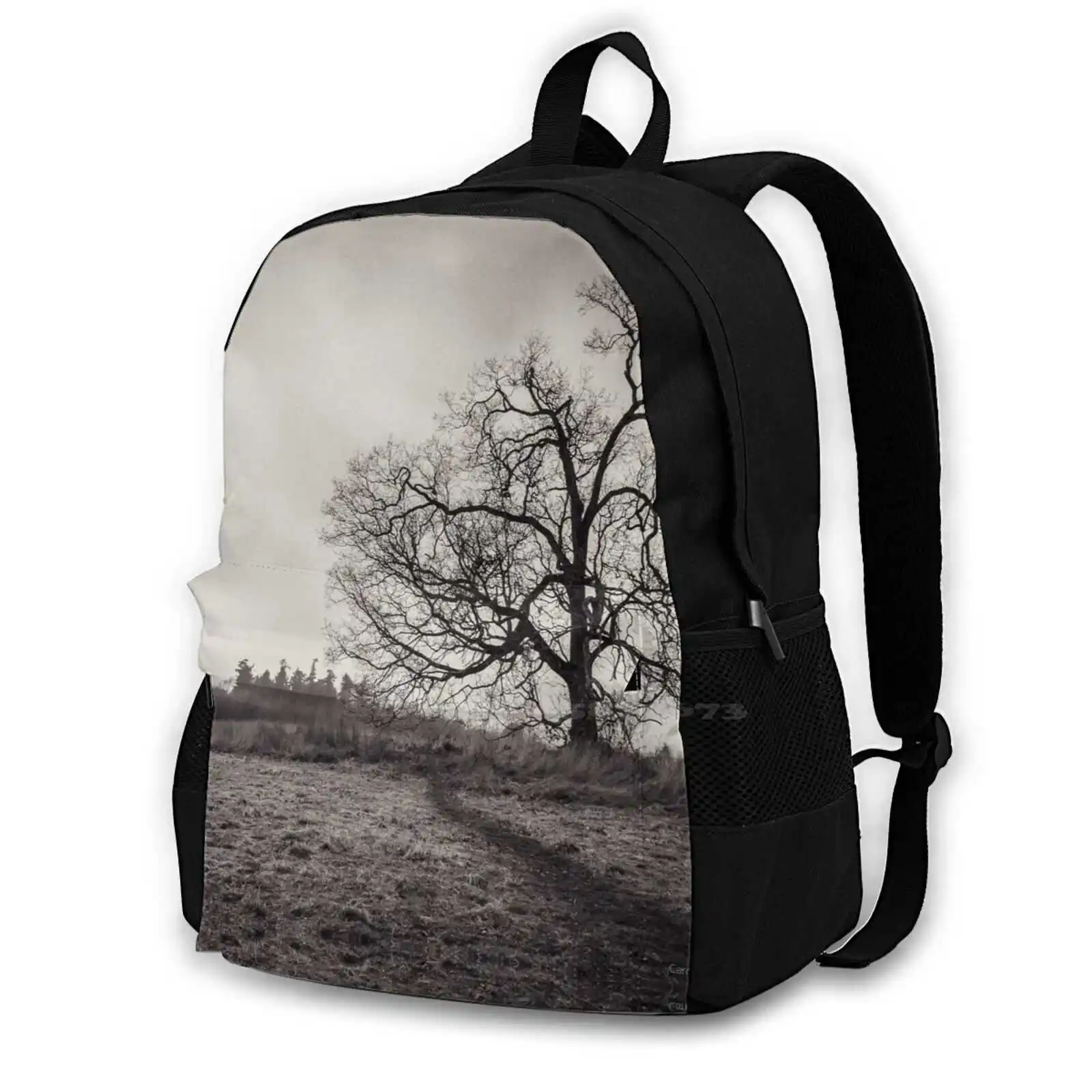 Large Capacity School Backpack Laptop Bags B W British Columbia Carrie Cole Nex 7 Tree Vancouver Island Victoria Black And