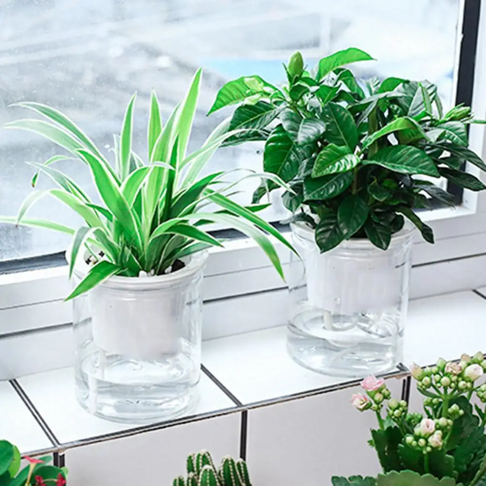 Clear Automatic Water Absorption Self Watering Hydroponic Flower Pot Planter Terrarium Hydroponic Plant Vases Vintage Flower