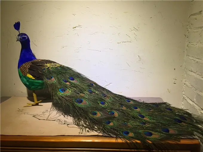new real life peacock model foam&feather simulation peacock gift about 80cm xf3009