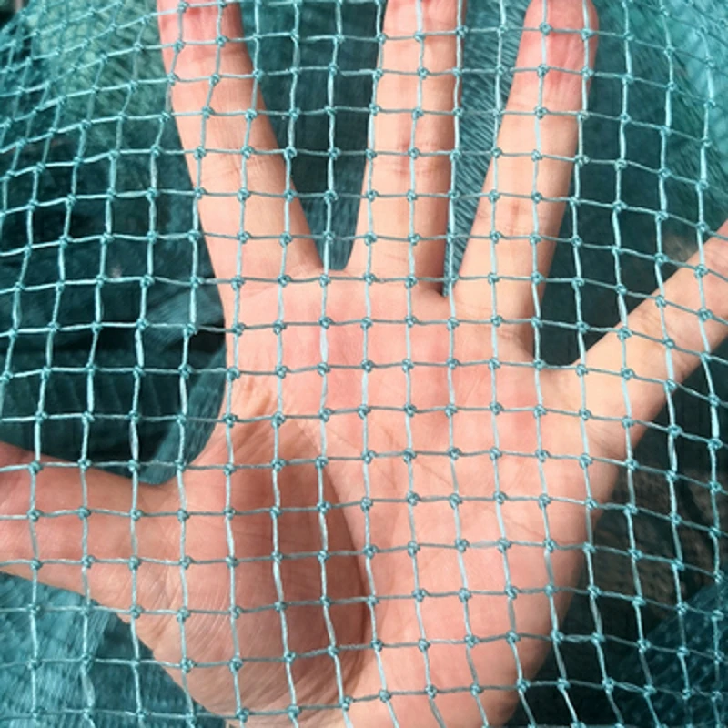 

1cm grid Garden protection net Cat proof net Bird net Chicken and duck net Fishing net Fence net Gardening bonsai Orchard