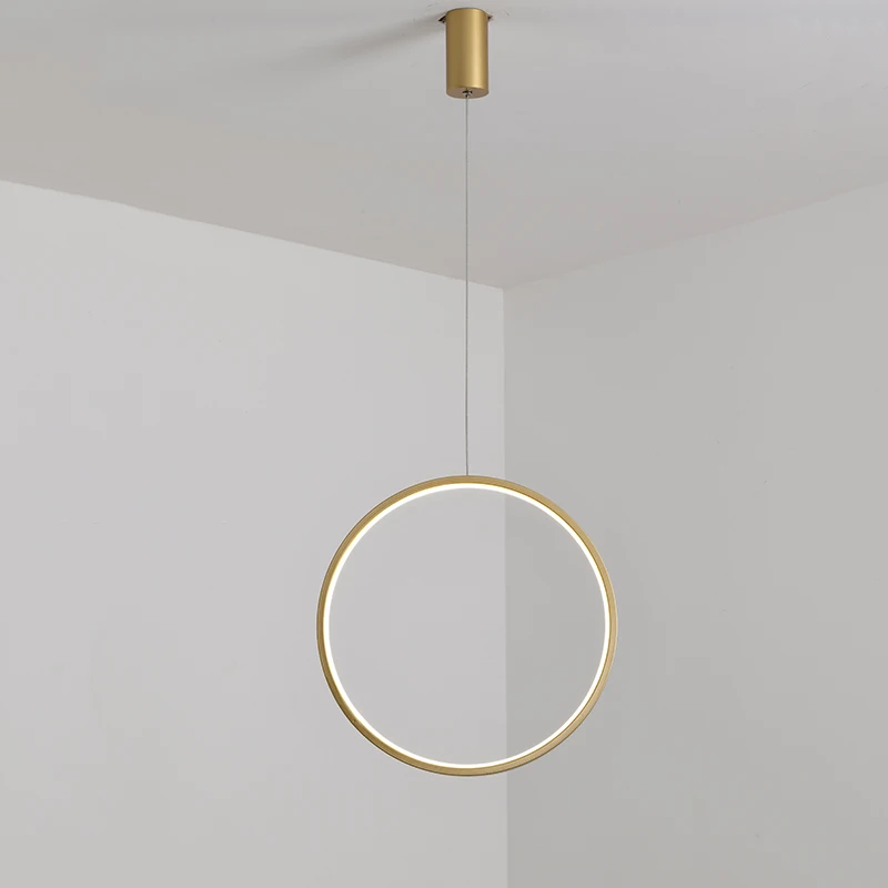 Modern Hanging Circle Round Pendant Light Creative Vertical Ring Pendant Lamp for Stairs Lobby Simple LED Chandeliers Fixture