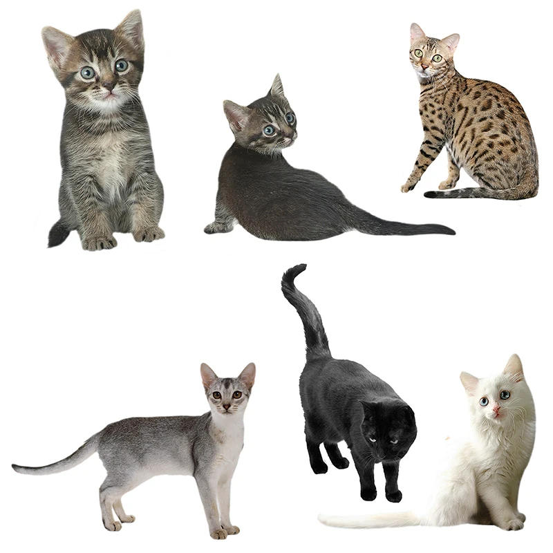 QD103 Наклейка на стену с милым котенком украшение для детской комнаты наклейка с милыми животными наклейка на кузов автомобиля