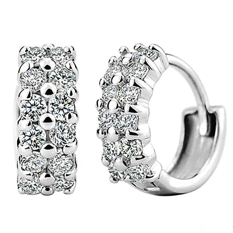 Hot 925 Sterling Silver Double Row Shiny Zircon Earrings Female Models Suitable for Valentine's Day gift Factory Wholesale Price