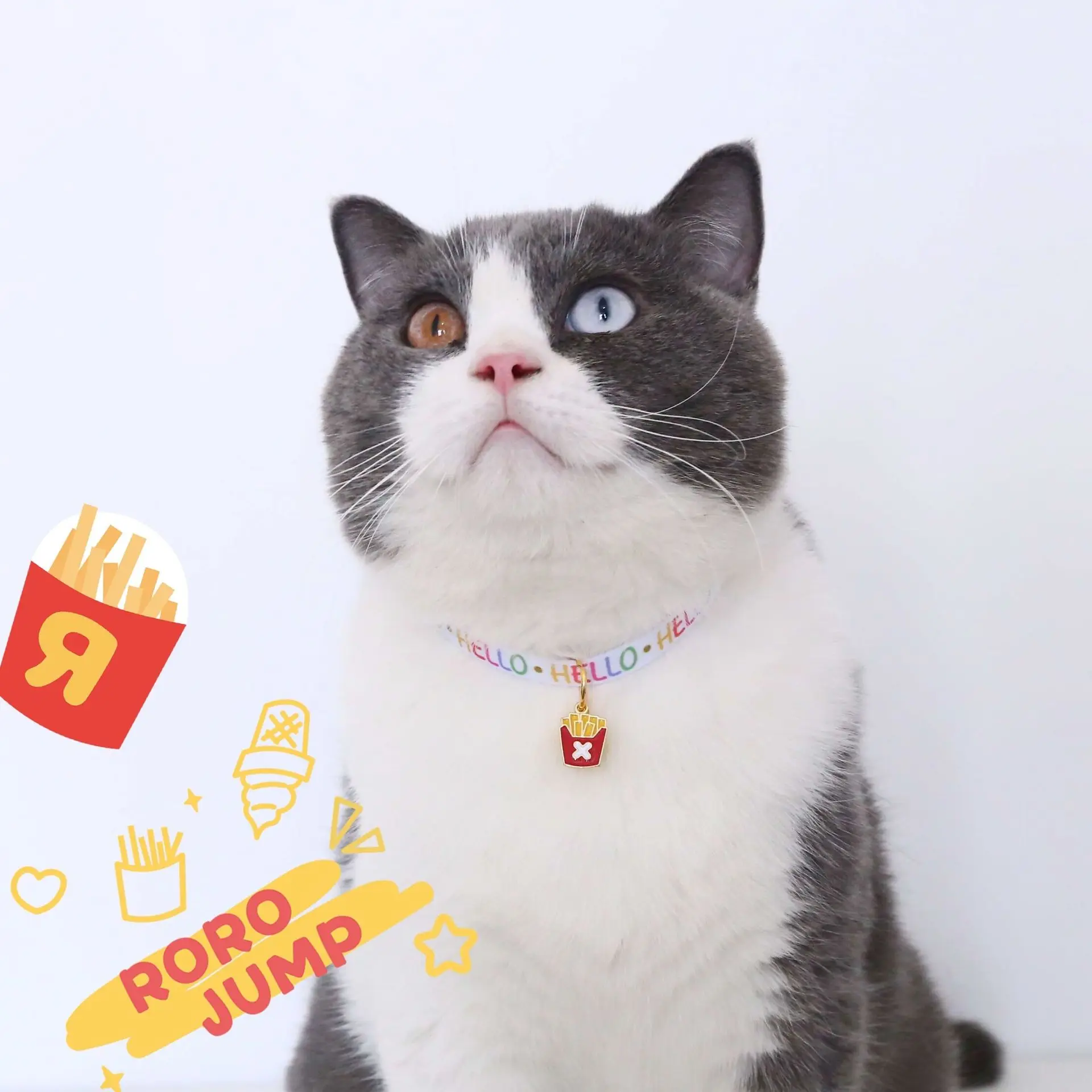 Pizza Burger Hot Dog French Fries Cat Collar